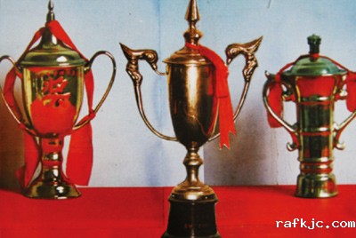 1985年山推先后获得了年度局级一等节能先进企业、山东省设备管理优秀单位、山东省机械工业系统节能先进单位等殊荣。