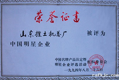 同年被评为中国明星企业